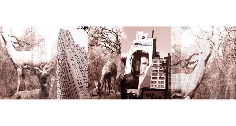 03-jungle-town-daniela-iraci-ph-popdam-magazine.jpg