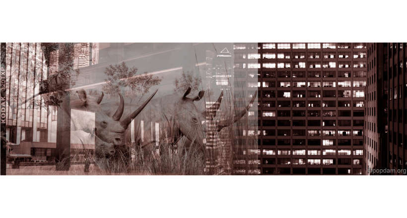 05-jungle-town-daniela-iraci-ph-popdam-magazine.jpg