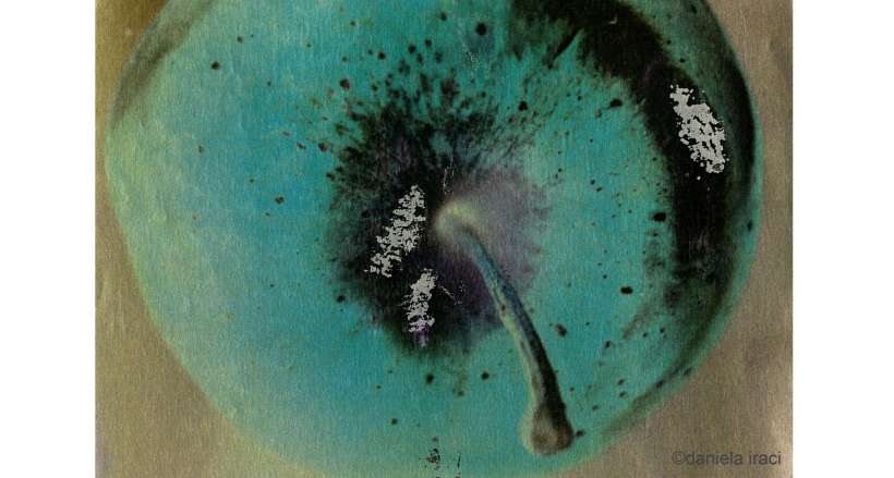 06-winter-memories-popdam-daniela-iraci.jpg